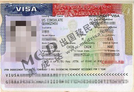 王先生的美国E1签证样本