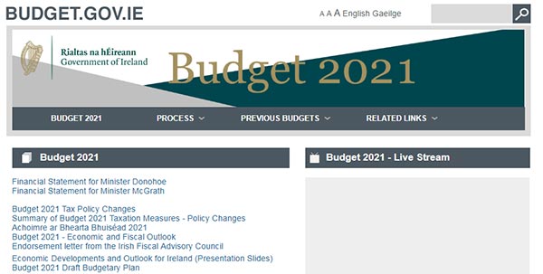 爱尔兰2021年财政预算加大福利房投入